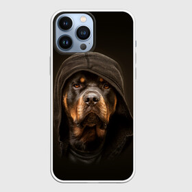 Чехол для iPhone 13 Pro Max с принтом Ротвейлер в капюшоне в Екатеринбурге,  |  | rottweiler | капюшон | молоссы | пастух | пёс | собака | щенок