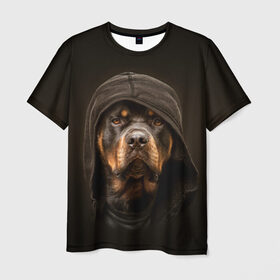Мужская футболка 3D с принтом Ротвейлер в капюшоне в Екатеринбурге, 100% полиэфир | прямой крой, круглый вырез горловины, длина до линии бедер | rottweiler | капюшон | молоссы | пастух | пёс | собака | щенок