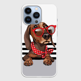 Чехол для iPhone 13 Pro с принтом Такса в очках в Екатеринбурге,  |  | animal | black | breed | dachshund | dog | domestic | drawing | gra | polka | red | shawl | stripes | white | белый | горошек | графика | домашняя | животное | красный | надпись | очки | платок | полосы | порода | рисунок | собака | такса | текс