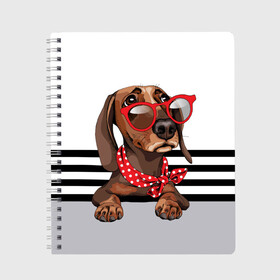 Тетрадь с принтом Такса в очках в Екатеринбурге, 100% бумага | 48 листов, плотность листов — 60 г/м2, плотность картонной обложки — 250 г/м2. Листы скреплены сбоку удобной пружинной спиралью. Уголки страниц и обложки скругленные. Цвет линий — светло-серый
 | Тематика изображения на принте: animal | black | breed | dachshund | dog | domestic | drawing | gra | polka | red | shawl | stripes | white | белый | горошек | графика | домашняя | животное | красный | надпись | очки | платок | полосы | порода | рисунок | собака | такса | текс