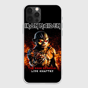 Чехол для iPhone 12 Pro с принтом Iron Maiden в Екатеринбурге, силикон | область печати: задняя сторона чехла, без боковых панелей | heavy metal | iron maiden | metal | айрон мейден | группы | метал | музыка | рок | хеви метал