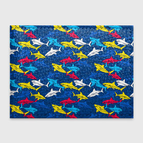 Обложка для студенческого билета с принтом Акулы в Екатеринбурге, натуральная кожа | Размер: 11*8 см; Печать на всей внешней стороне | blue | drawin | fashion | fish | illustration | ocean | predator | red | sea | sharks | style | water | yellow | youth | акулы | вода | графика | жёлтый | иллюстрация | картинка | красный | мода | молодежная | море | океан | рисунок | рыба | син