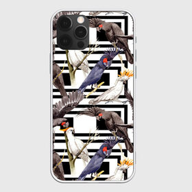 Чехол для iPhone 12 Pro Max с принтом Попугаи какаду в Екатеринбурге, Силикон |  | birds | bri | cockatoo | exotic | jungle | palm | parrots | tropical | акварель | геометрический | графика | джунгли | иллюстрация | картинка | мода | молодежная | орнамент | пальмы | попугаи | птицы | рисунок | стиль