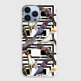 Чехол для iPhone 13 Pro Max с принтом Попугаи какаду в Екатеринбурге,  |  | birds | bri | cockatoo | exotic | jungle | palm | parrots | tropical | акварель | геометрический | графика | джунгли | иллюстрация | картинка | мода | молодежная | орнамент | пальмы | попугаи | птицы | рисунок | стиль