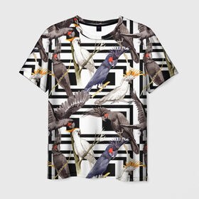 Мужская футболка 3D с принтом Попугаи какаду в Екатеринбурге, 100% полиэфир | прямой крой, круглый вырез горловины, длина до линии бедер | birds | bri | cockatoo | exotic | jungle | palm | parrots | tropical | акварель | геометрический | графика | джунгли | иллюстрация | картинка | мода | молодежная | орнамент | пальмы | попугаи | птицы | рисунок | стиль