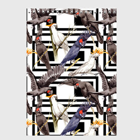 Скетчбук с принтом Попугаи какаду в Екатеринбурге, 100% бумага
 | 48 листов, плотность листов — 100 г/м2, плотность картонной обложки — 250 г/м2. Листы скреплены сверху удобной пружинной спиралью | birds | bri | cockatoo | exotic | jungle | palm | parrots | tropical | акварель | геометрический | графика | джунгли | иллюстрация | картинка | мода | молодежная | орнамент | пальмы | попугаи | птицы | рисунок | стиль