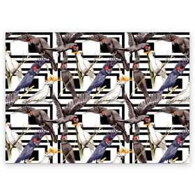 Поздравительная открытка с принтом Попугаи какаду в Екатеринбурге, 100% бумага | плотность бумаги 280 г/м2, матовая, на обратной стороне линовка и место для марки
 | Тематика изображения на принте: birds | bri | cockatoo | exotic | jungle | palm | parrots | tropical | акварель | геометрический | графика | джунгли | иллюстрация | картинка | мода | молодежная | орнамент | пальмы | попугаи | птицы | рисунок | стиль