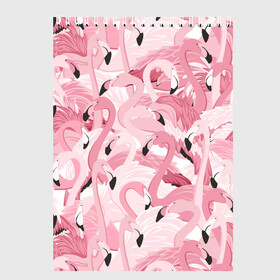 Скетчбук с принтом Фламинго в Екатеринбурге, 100% бумага
 | 48 листов, плотность листов — 100 г/м2, плотность картонной обложки — 250 г/м2. Листы скреплены сверху удобной пружинной спиралью | birds | drawing | fashion | feathers | flamingo | graphics | illustration | picture | pink | stand | style | wings | youth | графика | иллюстрация | картинка | клюв | красивые | крылья | мода | молодежная | перья | птицы | рисунок | розовый | стиль | стоя