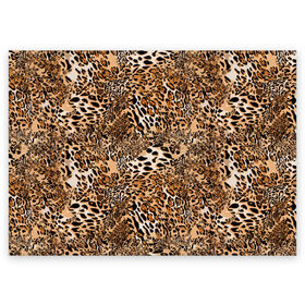 Поздравительная открытка с принтом Леопард в Екатеринбурге, 100% бумага | плотность бумаги 280 г/м2, матовая, на обратной стороне линовка и место для марки
 | camouflage | cat | disguise | fashion | illustration | jungle | leopard | predator | skin | spots | style | wild | youth | графика | джунгли | дикий | иллюстрация | камуфляж | картинка | кошка | леопард | маскировка | мода | молодежная | пятна | рисунок |