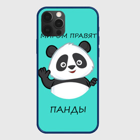 Чехол для iPhone 12 Pro Max с принтом ПАНДА в Екатеринбурге, Силикон |  | bear | panda | the world is ruled by pandas | животное | медведь | мир | панда | правят панды | приветы | просто красавчик