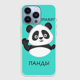 Чехол для iPhone 13 Pro с принтом ПАНДА в Екатеринбурге,  |  | bear | panda | the world is ruled by pandas | животное | медведь | мир | панда | правят панды | приветы | просто красавчик