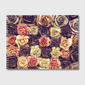 Альбом для рисования с принтом Шоколадные розы в Екатеринбурге, 100% бумага
 | матовая бумага, плотность 200 мг. | Тематика изображения на принте: бабушке | девочке | девушке | дочке | желтые цветы | женщине | маме | подруге | природа | розовые цветы | розы | сестре | теще | тюльпаны | цветы