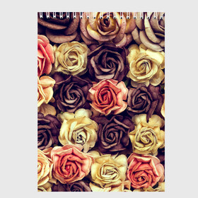 Скетчбук с принтом Шоколадные розы в Екатеринбурге, 100% бумага
 | 48 листов, плотность листов — 100 г/м2, плотность картонной обложки — 250 г/м2. Листы скреплены сверху удобной пружинной спиралью | бабушке | девочке | девушке | дочке | желтые цветы | женщине | маме | подруге | природа | розовые цветы | розы | сестре | теще | тюльпаны | цветы