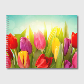 Альбом для рисования с принтом Тюльпаны в Екатеринбурге, 100% бумага
 | матовая бумага, плотность 200 мг. | бабушке | девочке | девушке | дочке | желтые цветы | женщине | маме | подруге | природа | розовые цветы | розы | сестре | теще | тюльпаны | цветы