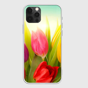 Чехол для iPhone 12 Pro Max с принтом Тюльпаны в Екатеринбурге, Силикон |  | Тематика изображения на принте: бабушке | девочке | девушке | дочке | желтые цветы | женщине | маме | подруге | природа | розовые цветы | розы | сестре | теще | тюльпаны | цветы