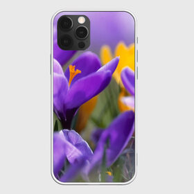 Чехол для iPhone 12 Pro Max с принтом Фиолетовые цветы в Екатеринбурге, Силикон |  | Тематика изображения на принте: бабушке | девочке | девушке | дочке | желтые цветы | женщине | маме | подруге | природа | розовые цветы | розы | сестре | теще | тюльпаны | цветы