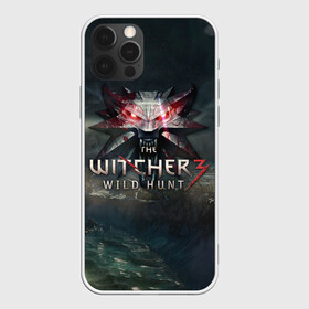 Чехол для iPhone 12 Pro с принтом The Witcher 3: Wild Hunt в Екатеринбурге, силикон | область печати: задняя сторона чехла, без боковых панелей | wild hunt | witcher | арбалет | ведьмак 3 | геральт | дикая | магия | охота | сказка | сфера | фэнтези | цири