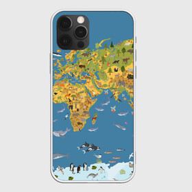 Чехол для iPhone 12 Pro с принтом Карта мира в Екатеринбурге, силикон | область печати: задняя сторона чехла, без боковых панелей | азия | акулы | америка | антарктида | бизон | волк | европа | животные | зебра | кабан | карта | киты | лама | лев | лось | материки | медведь | мира | моржи | моря | океаны | пингвины | птицы | реки | рыбы