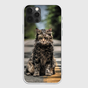 Чехол для iPhone 12 Pro с принтом Dead Cat в Екатеринбурге, силикон | область печати: задняя сторона чехла, без боковых панелей | louis creed | pet cemetery | pet sematary | stephen king | кладбище домашних животных | луис крид | стивен кинг | ужастик