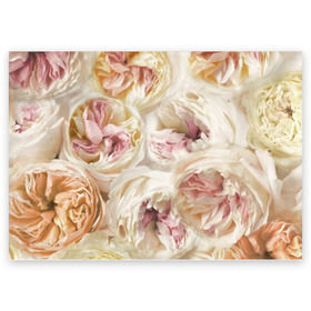 Поздравительная открытка с принтом Нежные Пионы в Екатеринбурге, 100% бумага | плотность бумаги 280 г/м2, матовая, на обратной стороне линовка и место для марки
 | букет | красивый | милый | пион | роза | розовый | розочка | свадебный | флористика | цветок | цветы