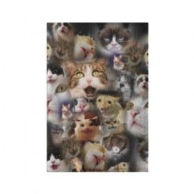 Обложка для паспорта матовая кожа с принтом Те самые коты в Екатеринбурге, натуральная матовая кожа | размер 19,3 х 13,7 см; прозрачные пластиковые крепления | Тематика изображения на принте: грустный кот мем | кот | кот мем | коты | кошка | мем | мем про котов | мемы | мемы с котами