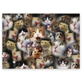 Поздравительная открытка с принтом Те самые коты в Екатеринбурге, 100% бумага | плотность бумаги 280 г/м2, матовая, на обратной стороне линовка и место для марки
 | грустный кот мем | кот | кот мем | коты | кошка | мем | мем про котов | мемы | мемы с котами