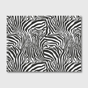 Альбом для рисования с принтом Полосы зебры в Екатеринбурге, 100% бумага
 | матовая бумага, плотность 200 мг. | abstraction | african | animal | black and white | camouflage | disguise | skin | stripes | zebra | абстракция | африканская | животное | зебры | камуфляж | маскировка | полосы | черно белый