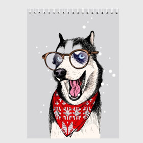 Скетчбук с принтом Хаски в Екатеринбурге, 100% бумага
 | 48 листов, плотность листов — 100 г/м2, плотность картонной обложки — 250 г/м2. Листы скреплены сверху удобной пружинной спиралью | animal | blue | breed | dog | drawing | eyes | graphic | husky | jaws | knitted | open | ornament | pattern | shawl | snow | winter | вязаный | глаза | голубые | графический | животное | зима | орнамент | открытая | очки | платок | порода | рису