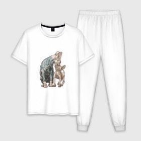 Мужская пижама хлопок с принтом Сфинксы в Екатеринбурге, 100% хлопок | брюки и футболка прямого кроя, без карманов, на брюках мягкая резинка на поясе и по низу штанин
 | котик | коты | кошка | прикольный принт | принт на футболке | сфинксы | татуированные коты | татуированные сфинксы