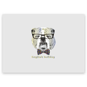Поздравительная открытка с принтом Английский бульдог в Екатеринбурге, 100% бумага | плотность бумаги 280 г/м2, матовая, на обратной стороне линовка и место для марки
 | Тематика изображения на принте: animals | breed | bulldog | butterfly | dog | english | fight | gentleman | head | illustration | inscription | muzzle | tie | английский | бабочка | бойцовый | бульдог | галстук | голова | джентльмен | животные | иллюстрация | надпись |