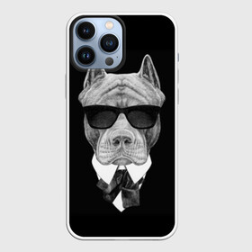 Чехол для iPhone 13 Pro Max с принтом Питбуль в Екатеринбурге,  |  | animals | black | black and white | cool | dog | fight | gentleman | head | illustration | pitbull | swag | white | авторитет | белая | бойцовый | галстук бабочка | голова | джентльмен | животные | иллюстрация | костюм | крутой | очки | 