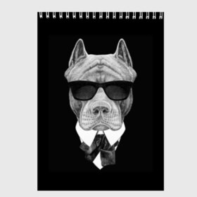 Скетчбук с принтом Питбуль в Екатеринбурге, 100% бумага
 | 48 листов, плотность листов — 100 г/м2, плотность картонной обложки — 250 г/м2. Листы скреплены сверху удобной пружинной спиралью | animals | black | black and white | cool | dog | fight | gentleman | head | illustration | pitbull | swag | white | авторитет | белая | бойцовый | галстук бабочка | голова | джентльмен | животные | иллюстрация | костюм | крутой | очки | 