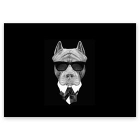 Поздравительная открытка с принтом Питбуль в Екатеринбурге, 100% бумага | плотность бумаги 280 г/м2, матовая, на обратной стороне линовка и место для марки
 | animals | black | black and white | cool | dog | fight | gentleman | head | illustration | pitbull | swag | white | авторитет | белая | бойцовый | галстук бабочка | голова | джентльмен | животные | иллюстрация | костюм | крутой | очки | 