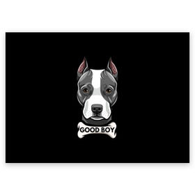 Поздравительная открытка с принтом Стаффордширский терьер в Екатеринбурге, 100% бумага | плотность бумаги 280 г/м2, матовая, на обратной стороне линовка и место для марки
 | animal | bone | breed | dog | fight | head | inscription | look | muzzle | staffordshire | terrier | бойцовая | взгляд | голова | животное | кость | надпись | порода | собака | стаффордширский | терьер
