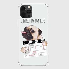 Чехол для iPhone 12 Pro Max с принтом I direct my own life в Екатеринбурге, Силикон |  | animal | board | direct | dog | his | i | life | pug | slate | the inscription | грифельная | доска | животное | жизнь | мопс | надпись | направляю | свою | собака | я