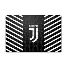 Пазл магнитный 126 элементов с принтом JUVENTUS SPORT в Екатеринбурге, полимерный материал с магнитным слоем | 126 деталей, размер изделия —  180*270 мм | cr7 | fc | football | football club | juve | juventus | ronaldo | sport | роналдо | спорт | спортивные | униформа | фирменные цвета | фк | футбол | футбольный клуб | ювентус