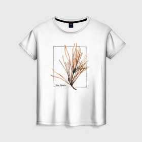 Женская футболка 3D с принтом Pinus Sylvestris в Екатеринбурге, 100% полиэфир ( синтетическое хлопкоподобное полотно) | прямой крой, круглый вырез горловины, длина до линии бедер | абстракция | авторская работа | ботаническая иллюстрация | деревья | иллюстрации | минимализм | сосна | цветы