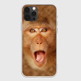 Чехол для iPhone 12 Pro Max с принтом Обезьяна в Екатеринбурге, Силикон |  | Тематика изображения на принте: голова | животные | мартышка | мордочка | обезьяна | открытый | прикол | природа | рот | юмор