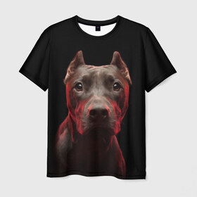 Мужская футболка 3D с принтом Стафф в Екатеринбурге, 100% полиэфир | прямой крой, круглый вырез горловины, длина до линии бедер | амстафф | голова | животные | мордочка | природа | собака | стафф | стаффордширский терьер