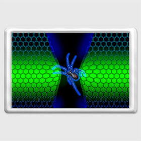 Магнит 45*70 с принтом Паук на ночной охоте в Екатеринбурге, Пластик | Размер: 78*52 мм; Размер печати: 70*45 | Тематика изображения на принте: зеленая броня | зеленый неон | классный дизайн | ночь | паук | паук дизайн | паук на охоте | паук охотник | пчелиные | соты | темная футболка | футболка с пауком | черные соты