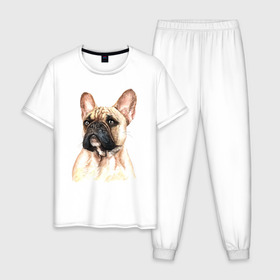 Мужская пижама хлопок с принтом Французский бульдог в Екатеринбурге, 100% хлопок | брюки и футболка прямого кроя, без карманов, на брюках мягкая резинка на поясе и по низу штанин
 | bulldog | dog | бульдог | собака | собаки | французский бульдог