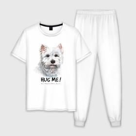 Мужская пижама хлопок с принтом Вест-хайленд-уайт-терьер в Екатеринбурге, 100% хлопок | брюки и футболка прямого кроя, без карманов, на брюках мягкая резинка на поясе и по низу штанин
 | Тематика изображения на принте: dog | highland | terrier | west | white | вест | собака | собаки | терьер | уайт | хайленд