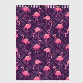 Скетчбук с принтом Фламинго в Екатеринбурге, 100% бумага
 | 48 листов, плотность листов — 100 г/м2, плотность картонной обложки — 250 г/м2. Листы скреплены сверху удобной пружинной спиралью | abstraction | beak | bird | fauna | feathers | flamingo | flora | geometry | happiness | nature | pink | purple | tropical | tropics | абстракция | геометрия | клюв | перья | природа | птица | розовый | счастье | тропики | тропический | фауна | фиолетовый