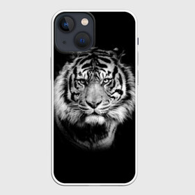 Чехол для iPhone 13 mini с принтом Тигр в Екатеринбурге,  |  | animal | beautiful | black | cool | fangs | fauna | mustache | muzzle | nature | photo | predator | striped | tiger | view | white | wild | wool | белый | взгляд | дикий | животное | клыки | красивый | круто | полосатый | природа | тигр | усы | фа