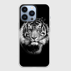 Чехол для iPhone 13 Pro с принтом Тигр в Екатеринбурге,  |  | animal | beautiful | black | cool | fangs | fauna | mustache | muzzle | nature | photo | predator | striped | tiger | view | white | wild | wool | белый | взгляд | дикий | животное | клыки | красивый | круто | полосатый | природа | тигр | усы | фа