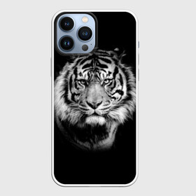 Чехол для iPhone 13 Pro Max с принтом Тигр в Екатеринбурге,  |  | animal | beautiful | black | cool | fangs | fauna | mustache | muzzle | nature | photo | predator | striped | tiger | view | white | wild | wool | белый | взгляд | дикий | животное | клыки | красивый | круто | полосатый | природа | тигр | усы | фа