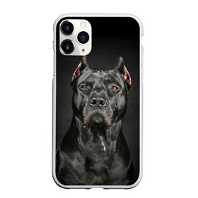 Чехол для iPhone 11 Pro матовый с принтом Питбуль в Екатеринбурге, Силикон |  | animal | black | breed | bull | combat | dog | ears | eyes | image | muzzle | nose | pit bull | portrait | боевой | бугай | глаза | животное | изображение | нос | пес | питбуль | порода | портрет | псина | собака | уши | черный