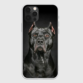 Чехол для iPhone 12 Pro Max с принтом Питбуль в Екатеринбурге, Силикон |  | animal | black | breed | bull | combat | dog | ears | eyes | image | muzzle | nose | pit bull | portrait | боевой | бугай | глаза | животное | изображение | нос | пес | питбуль | порода | портрет | псина | собака | уши | черный