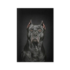 Обложка для паспорта матовая кожа с принтом Питбуль в Екатеринбурге, натуральная матовая кожа | размер 19,3 х 13,7 см; прозрачные пластиковые крепления | animal | black | breed | bull | combat | dog | ears | eyes | image | muzzle | nose | pit bull | portrait | боевой | бугай | глаза | животное | изображение | нос | пес | питбуль | порода | портрет | псина | собака | уши | черный