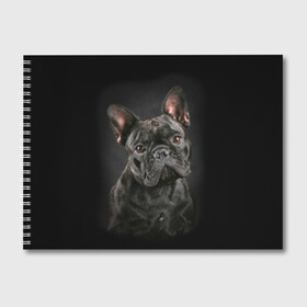 Альбом для рисования с принтом Французский бульдог в Екатеринбурге, 100% бумага
 | матовая бумага, плотность 200 мг. | Тематика изображения на принте: animal | background | beast | black | breed | bulldog | cool | cute | dog | ears | french | jaw | look | muzzle | portrait | wool | бульдог | взгляд | животное | зверь | милый | пёс | порода | портрет | прикольно | псина | собака | уши | фон | фра
